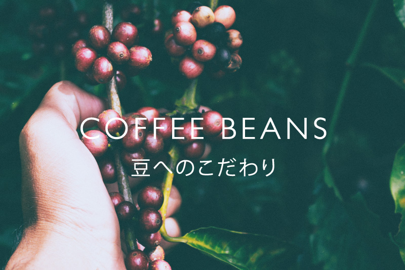 COFEE BEANS　コーヒー豆 FULL OF FLAVOR　挽き方